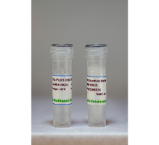 Pfu PLUS DNA Polymerase LARGE - 250U (50ul)