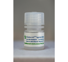 Protein A/G PLUS Agarose Beads - 2 ml Packed Bead Volume