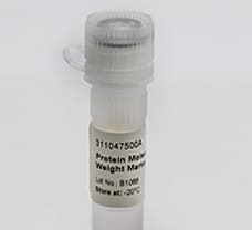 Protein Molecular Weight Marker-3110475001730