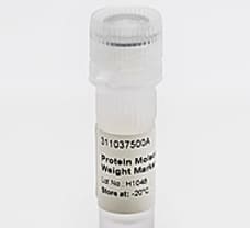 Protein Molecular Weight Marker-3110375001730