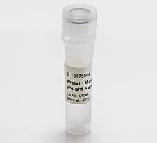 Protein Molecular Weight Marker-3110175001730