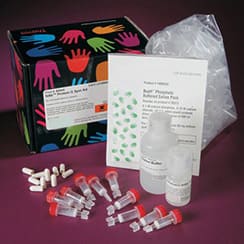 Protein Purification  Kits