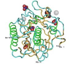 Proteinase K, 100mg