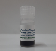 Proten A Magnetic Beads - 1 ml Packed Bead Volume