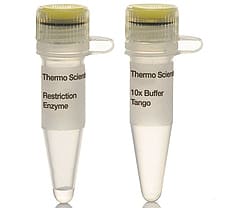 PscI (PciI) restriction enzyme