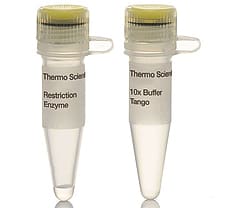 Psp1406I (AclI) restriction enzyme