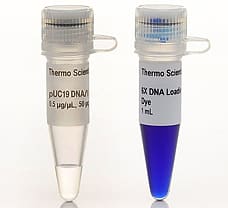 pUC19 DNA/MspI (HpaII) Marker, 50 g