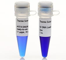 pUC19 DNA/MspI (HpaII) Marker  ready-to-use, 50 g