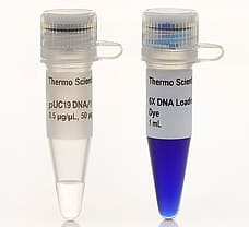 pUC19 DNA/MspI (HpaII) Marker, 5 x 50 g