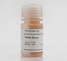 Rabbit serum 10ml