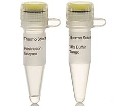 RsaI restriction enzyme