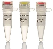 RseI (MslI) restriction enzyme