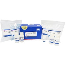 SPINeasy DNA Purification Kit, 50 preps