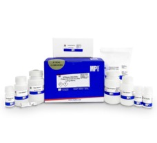 SPINeasy DNA/RNA/Protein All In One Kit, 50 preps