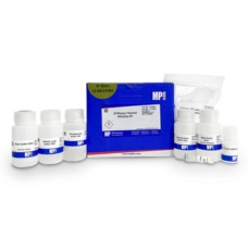 SPINeasy Plasmid Miniprep Kit, 50 preps