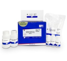 SPINeasy RNA Kit for Bacteria (With Lysing Matrix B), 50 preps