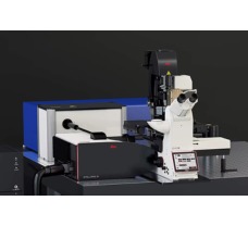 STELLARIS 8 CRS Coherent Raman Scattering Microscope