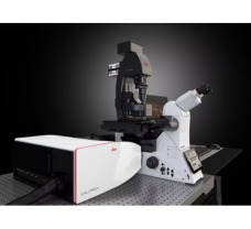 STELLARIS DLS Digital Light Sheet Microscope