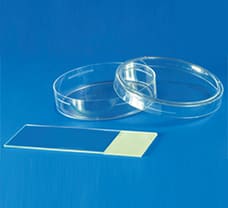 Sterile Disposable Petri Plates, 55 X 12 mm-PW1155A-12x10NO