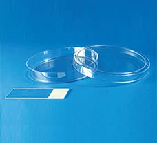 Sterile Disposable Petri Plates, 100 X 15 mm-PW002G-1x500NO
