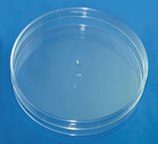 Sterile Disposable Petri Plates, 110 X 25 mm-PW049-1x100NO