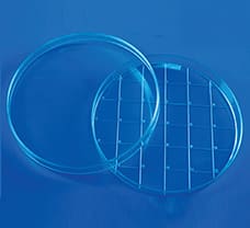 Sterile Disposable Scored Bottom Petri Plates, 150 X 15 mm-PW1289-1x100NO