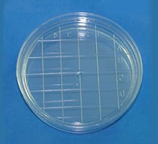 Sterile Disposable Scored Top Petri Plates, 75 X 12 mm-PW1128-1x100NO