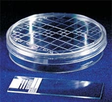 Sterile Disposable Scored Top Petri Plates, 90 X 19 mm-PW006-1x100NO