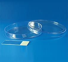 Sterile DisposablePetri Plates, 120 X 15 mm-PW1146-1x100NO