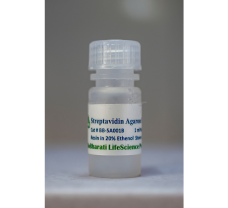 Streptavidin Agarose Beads - 1 ml Packed Bead Volume