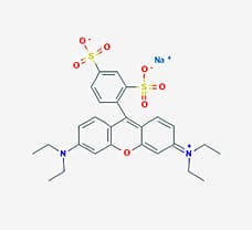 Sulphorhodamine B sodium salt -TC478-1G