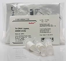T4 DNA Ligase-1100100041730