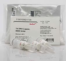 T4 DNA Ligase-1100100021730