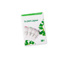 T4 DNA Ligase,2500 U