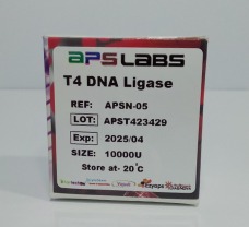 T4 DNA Ligase, 1000 U