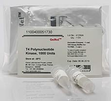 T4 Polynucleotide Kinase-1100400051730