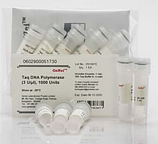 Taq DNA Polymerase-602900051730