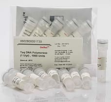 Taq DNA Polymerase-602800051730