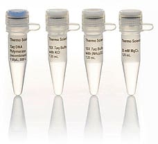 Taq DNA Polymerase (recombinant), Low Concentration, 500 U