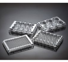 TAURUSDISPO Cell Culture Multiwell Plates, Flat Bottom, Treated, Sterile, Dnase/Rnase Free, 12 well