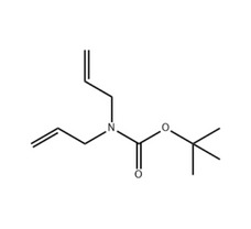 tert-Butyl N,N-diallylcarbamate, 98%,10ml
