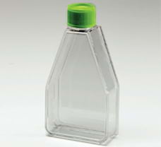 Tissue Culture Flask, Surface Treated-TCP162-10x20NO