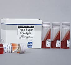 Triple Sugar Iron Agar