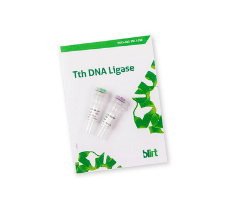 Tth DNA Ligase ,250 U