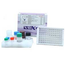 VoxEL HIV Ag/Ab Combo (4th Generation), 96 TEST