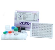 VoxEL HIV (3rd Generation), 96 TEST