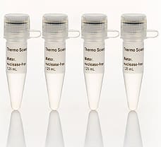 Water nuclease-free, 4 x 1.25 mL