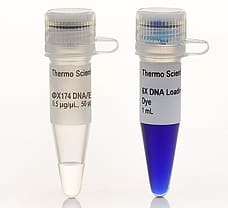 X174 DNA/BsuRI (HaeIII) Marker, 9, 50 g