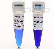 X174 DNA/BsuRI (HaeIII) Marker, 9, ready-to-use    , 50 g