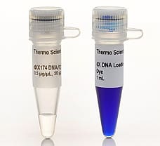 X174 DNA/BsuRI (HaeIII) Marker, 9, 5x50 g